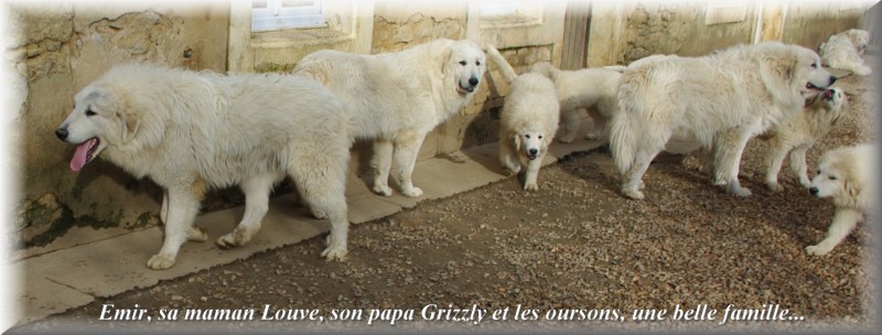 Publication : du Domaine de Peyrac Auteur : Le Domaine de Peyrac