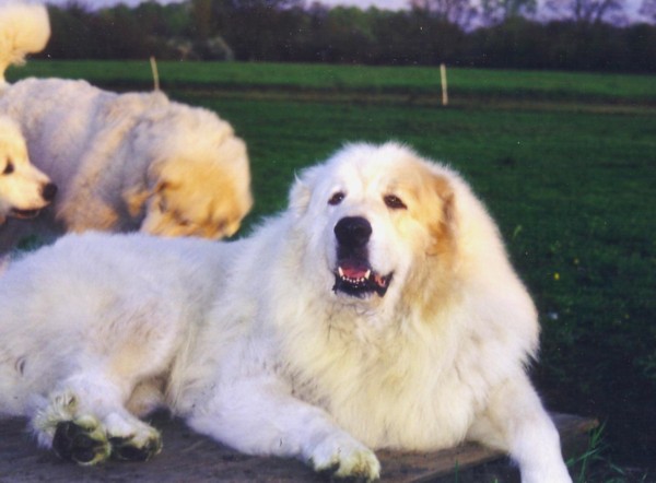 Publication : du Domaine de Peyrac