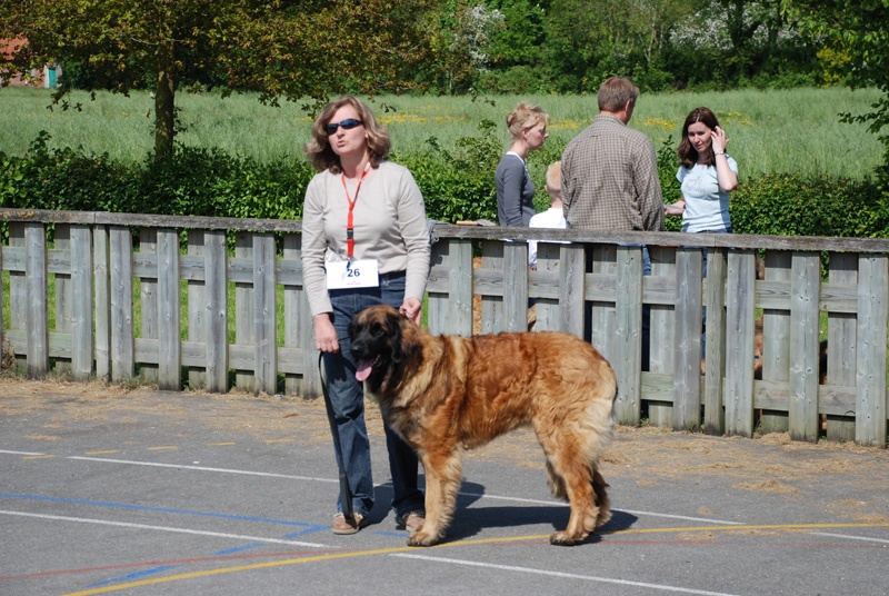 Danouschka du pin aux cinq aiguilles - exc sélectionnée meilleure femelle intermédiaire
