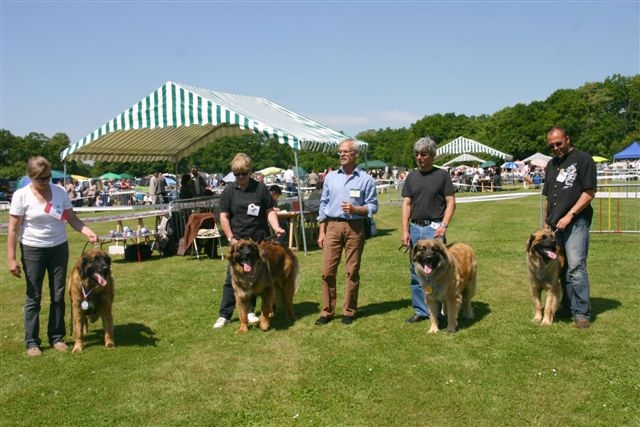 Danouschka du pin aux cinq aiguilles - 1 EXC intermédiaire femelle