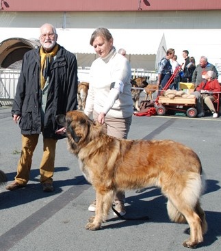 Danouschka du pin aux cinq aiguilles - 1EXC CACS