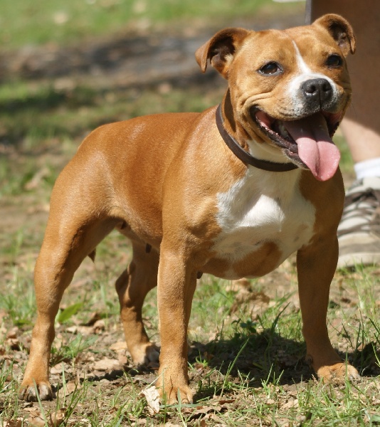 Publication : Von melkev kamp Auteur : franck noacco vmk