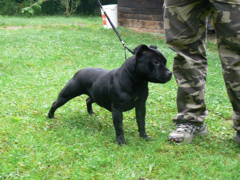 Publication : Von melkev kamp Auteur : Franck NOACCO