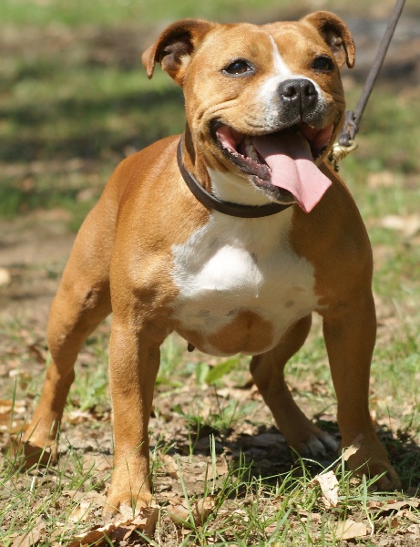 Publication : Von melkev kamp Auteur : franck noacco vmk