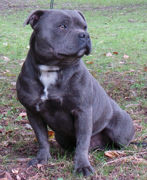 Hayden Von melkev kamp