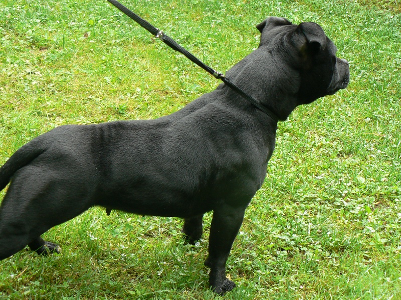 Publication : Von melkev kamp Auteur : Franck NOACCO