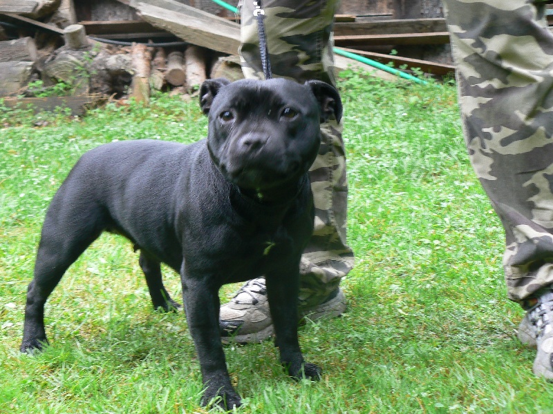 Publication : Von melkev kamp Auteur : Franck NOACCO