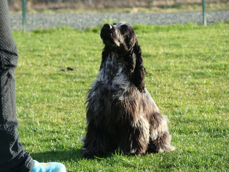 Empty pockets du Domaine de Kérarzic Vilin