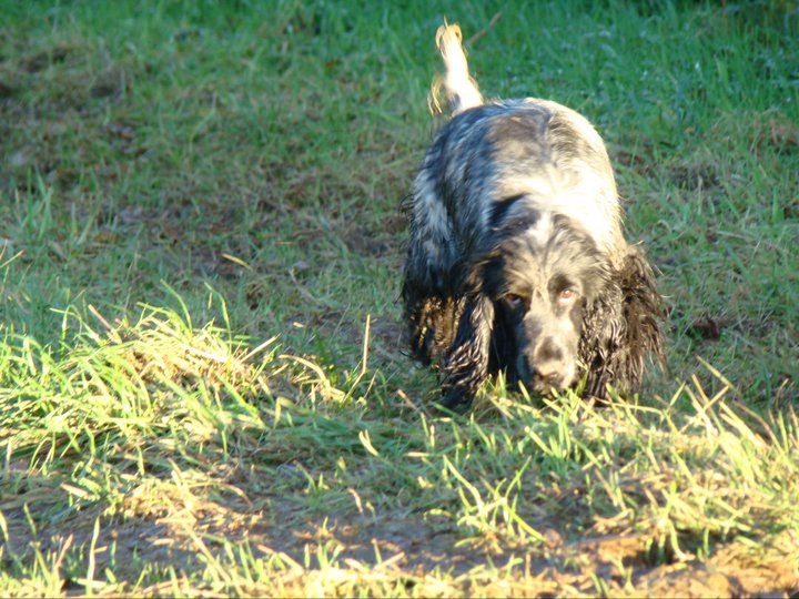 Empty pockets du Domaine de Kérarzic Vilin