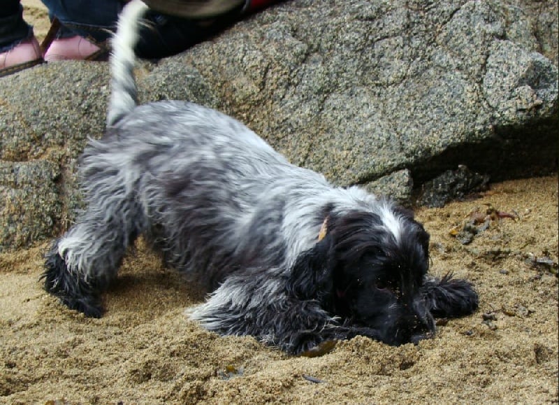 Empty pockets du Domaine de Kérarzic Vilin