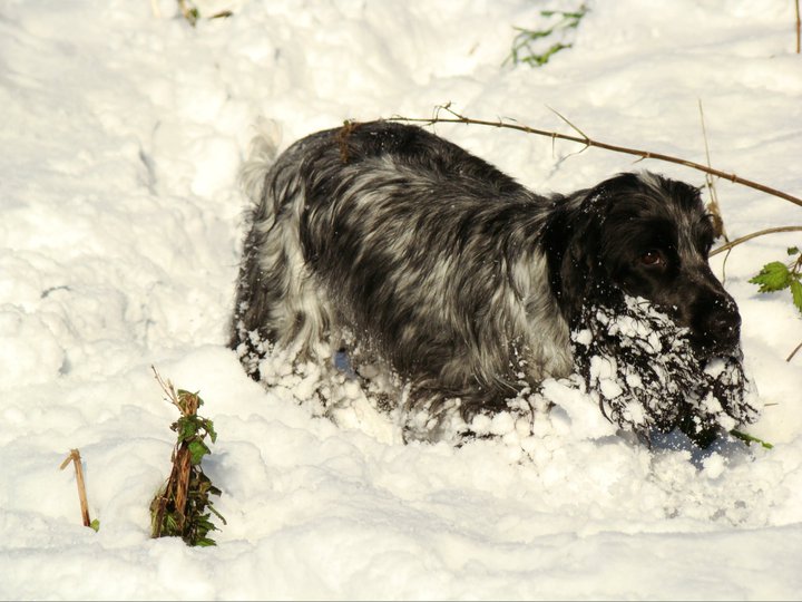 Empty pockets du Domaine de Kérarzic Vilin