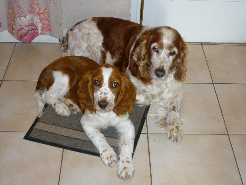 Fidji du Domaine de Kérarzic Vilin