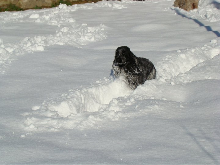 Empty pockets du Domaine de Kérarzic Vilin