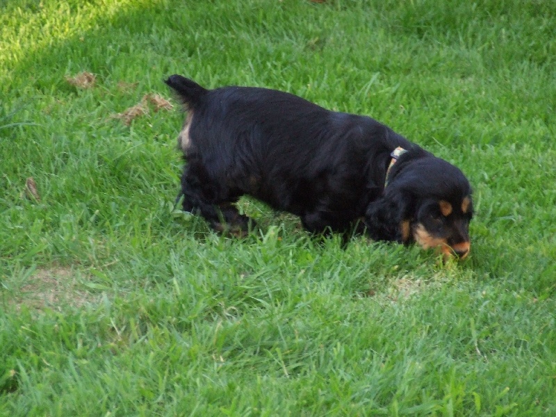 Holly dolly du Domaine de Kérarzic Vilin