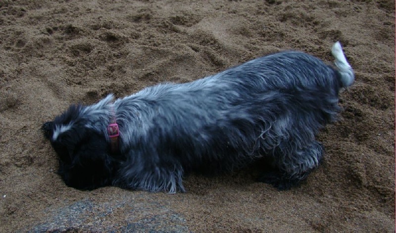 Empty pockets du Domaine de Kérarzic Vilin