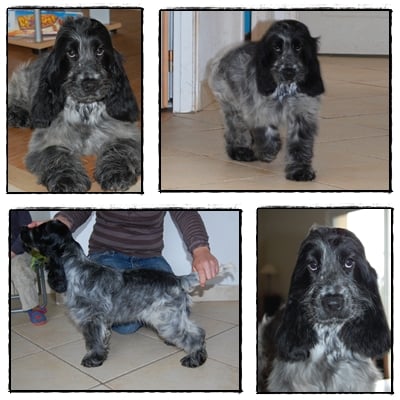 Get the party started du Domaine de Kérarzic Vilin