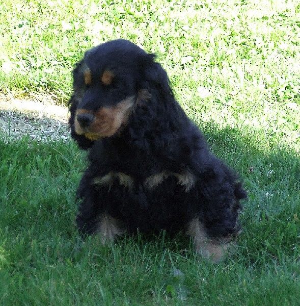 Holly dolly du Domaine de Kérarzic Vilin