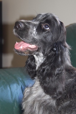 Get the party started du Domaine de Kérarzic Vilin