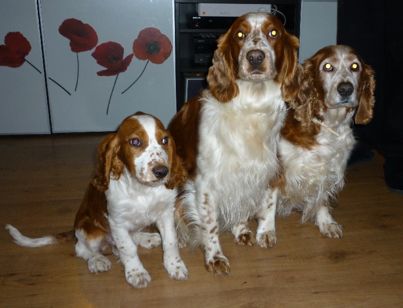 Fidji du Domaine de Kérarzic Vilin