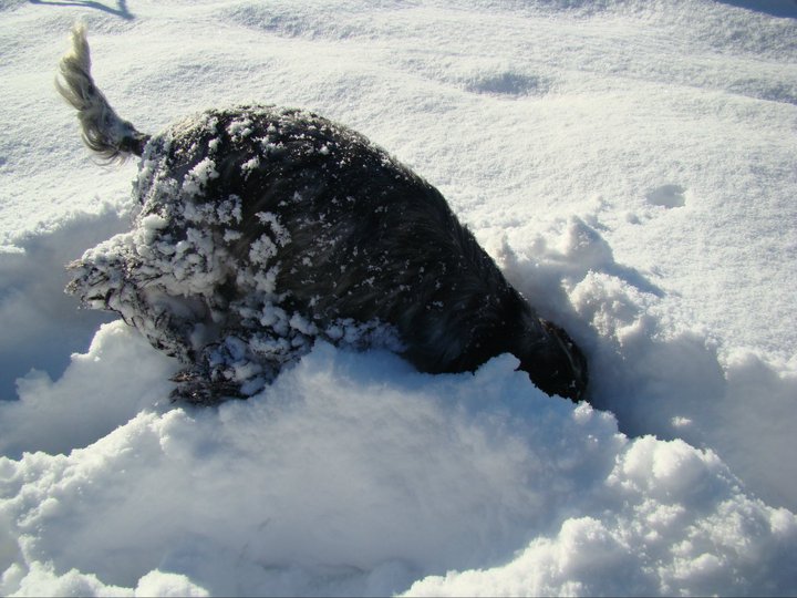 Empty pockets du Domaine de Kérarzic Vilin
