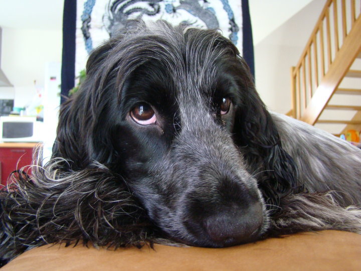 Empty pockets du Domaine de Kérarzic Vilin