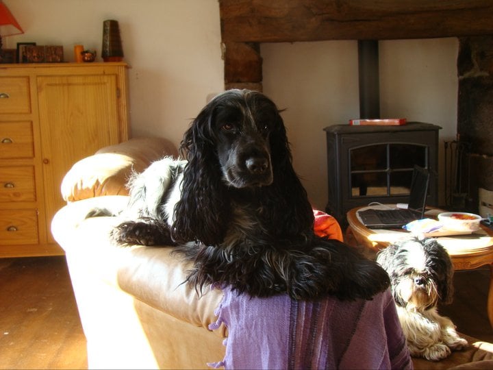 Empty pockets du Domaine de Kérarzic Vilin