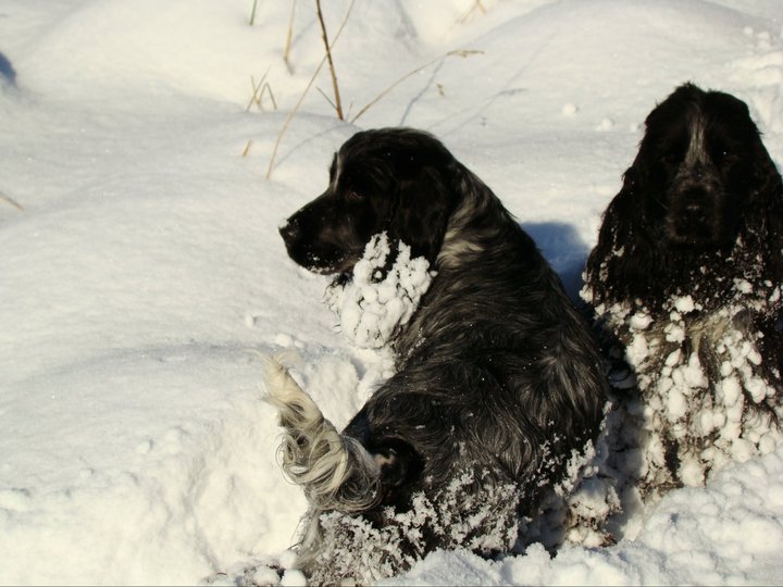 Empty pockets du Domaine de Kérarzic Vilin