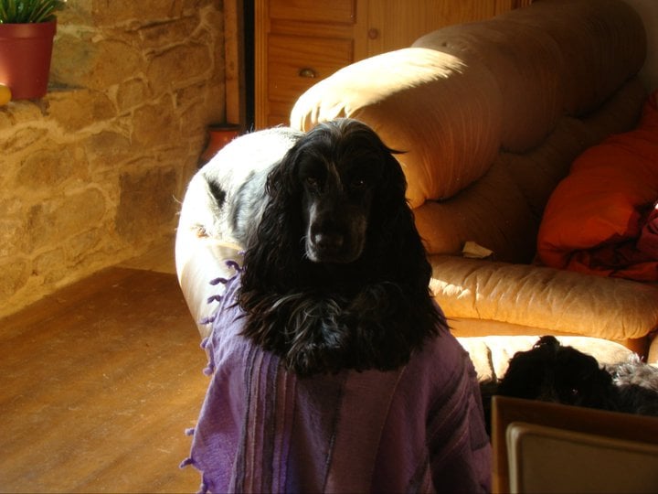 Empty pockets du Domaine de Kérarzic Vilin