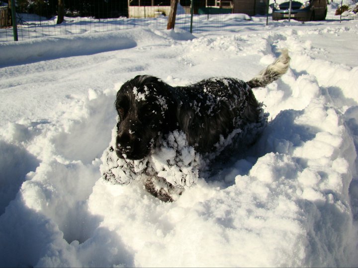 Empty pockets du Domaine de Kérarzic Vilin
