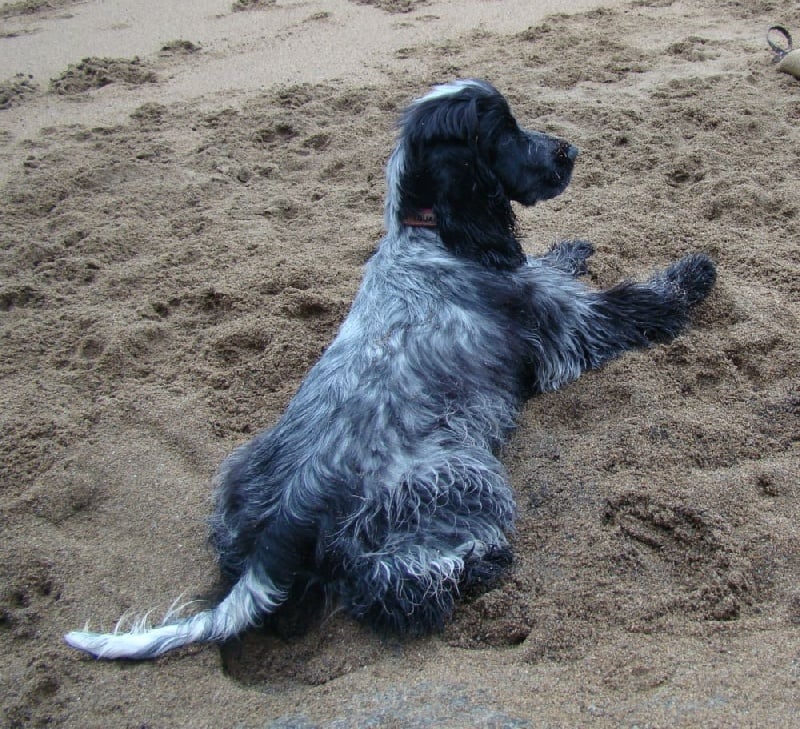 Empty pockets du Domaine de Kérarzic Vilin