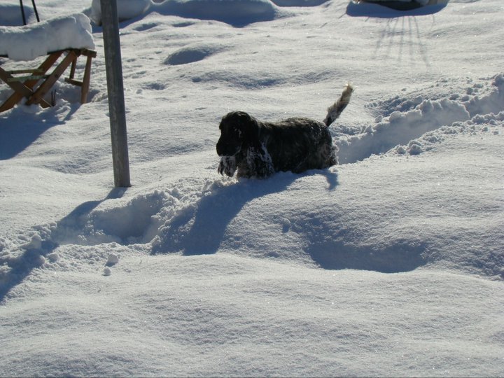 Empty pockets du Domaine de Kérarzic Vilin