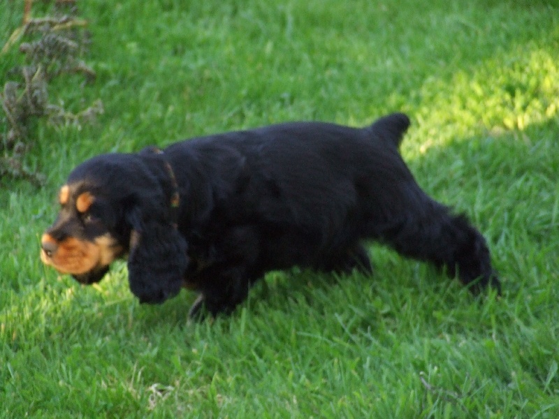 Holly dolly du Domaine de Kérarzic Vilin