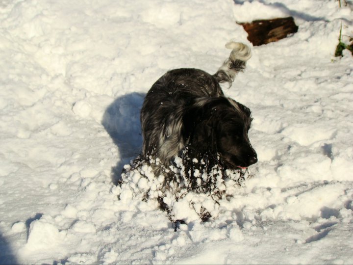 Empty pockets du Domaine de Kérarzic Vilin