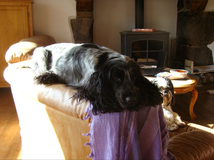 Empty pockets du Domaine de Kérarzic Vilin