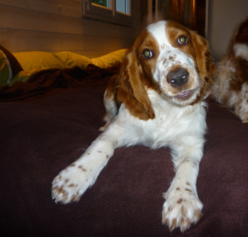 Fidji du Domaine de Kérarzic Vilin