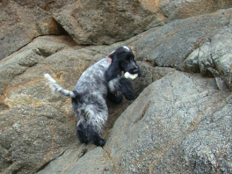 Empty pockets du Domaine de Kérarzic Vilin