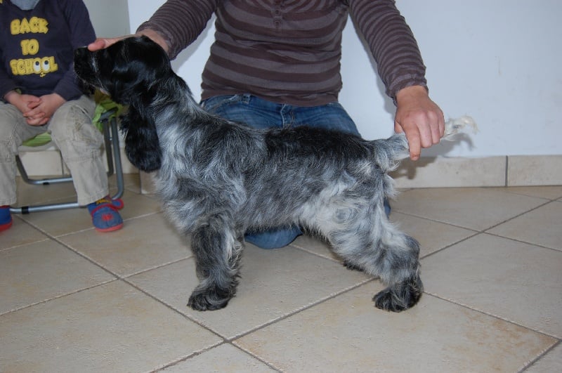 Get the party started du Domaine de Kérarzic Vilin