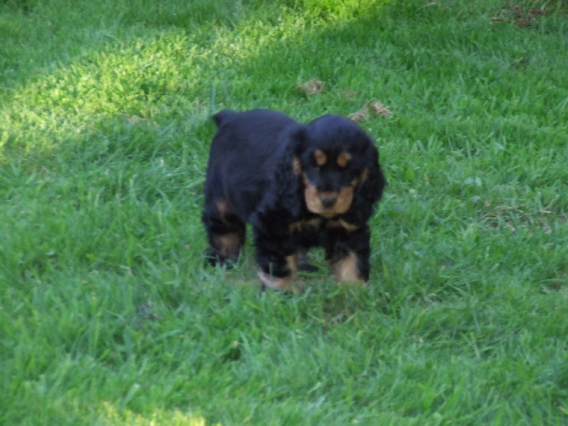 Holly dolly du Domaine de Kérarzic Vilin