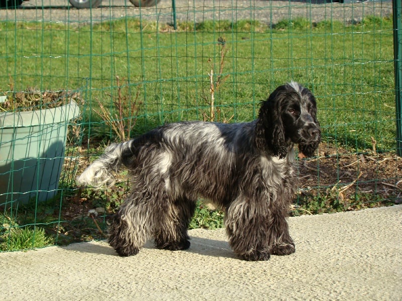 Empty pockets du Domaine de Kérarzic Vilin