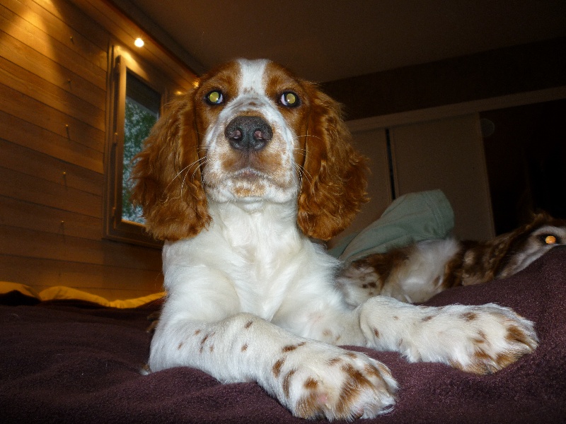 Fidji du Domaine de Kérarzic Vilin