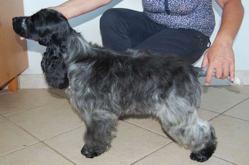 Get the party started du Domaine de Kérarzic Vilin