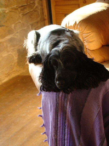 Empty pockets du Domaine de Kérarzic Vilin