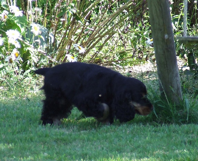 Holly dolly du Domaine de Kérarzic Vilin