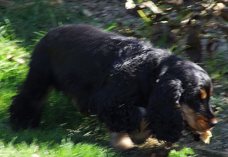 Holly dolly du Domaine de Kérarzic Vilin