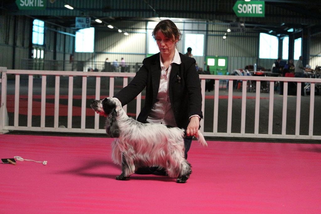 CH. Fatal-beauty du Domaine de Kérarzic Vilin - 1ère Excellente