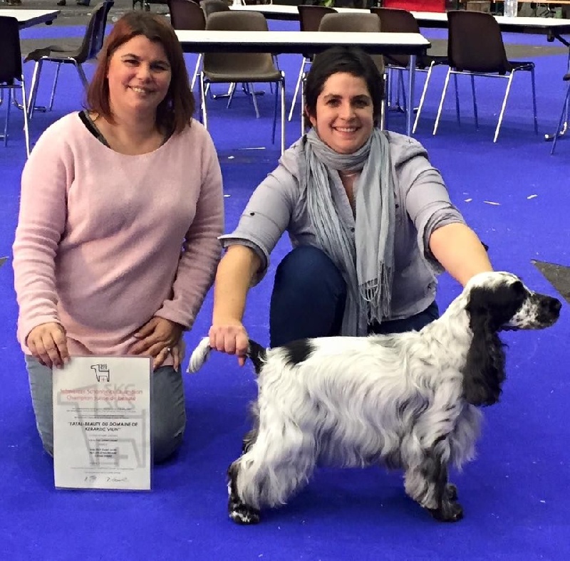 CH. Fatal-beauty du Domaine de Kérarzic Vilin - 1ère excellente CAC RCACIB