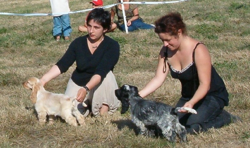 Elastic girl du Domaine de Kérarzic Vilin - BOB puppy