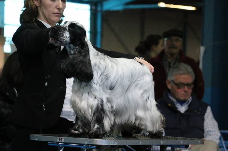 CH. Fatal-beauty du Domaine de Kérarzic Vilin - 4ème Excellente