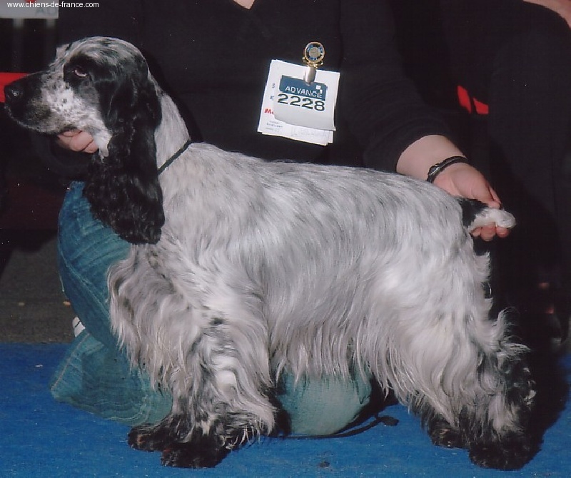 Umia des Epinais - 1ère excellente