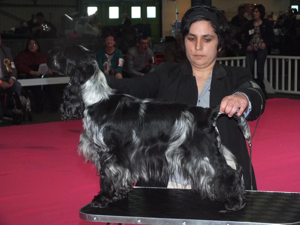 CH. I follow rivers du Domaine de Kérarzic Vilin - 4ème Excellente